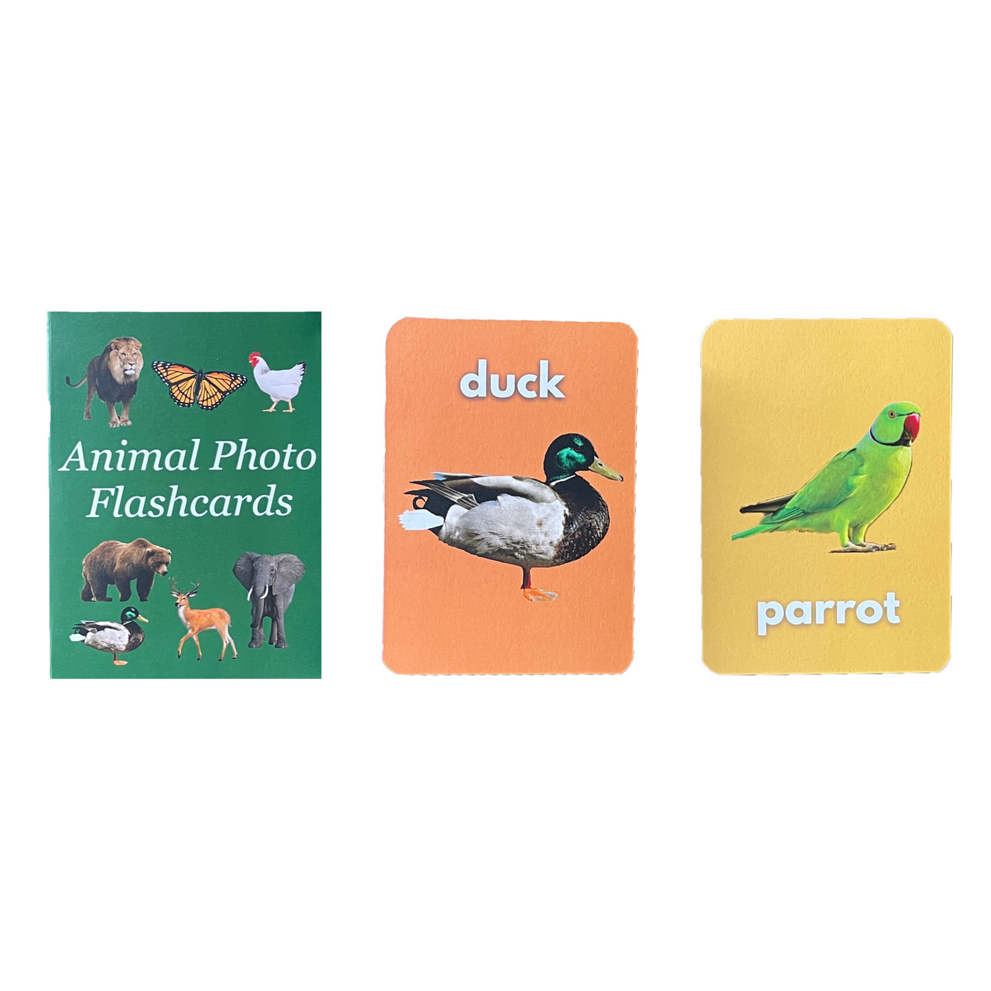 Animal Flashcards