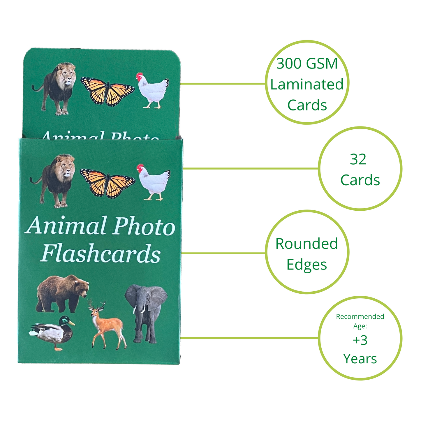 Animal Flashcards