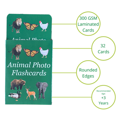 Animal Flashcards