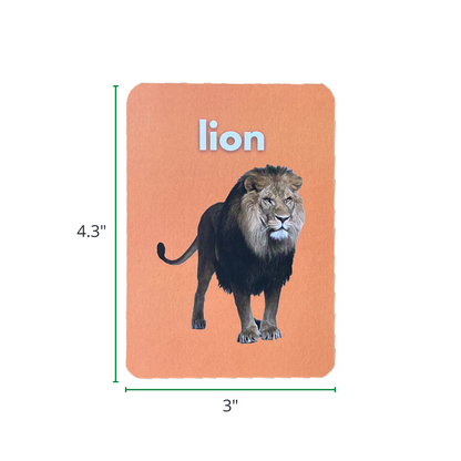 Animal Flashcards