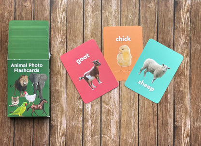 Animal Flashcards