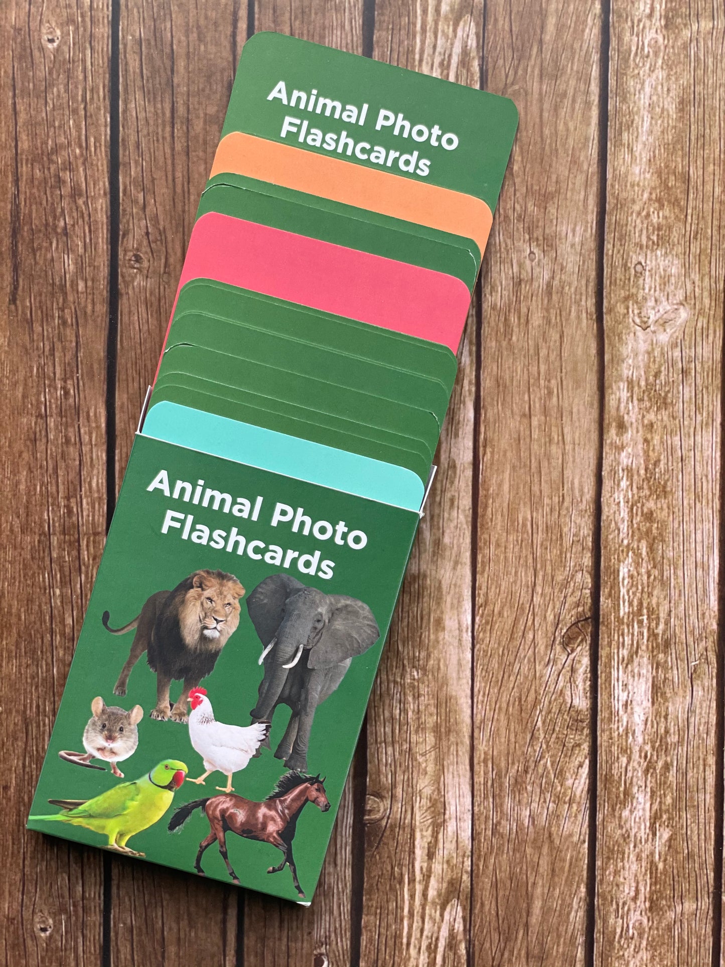 Animal Flashcards