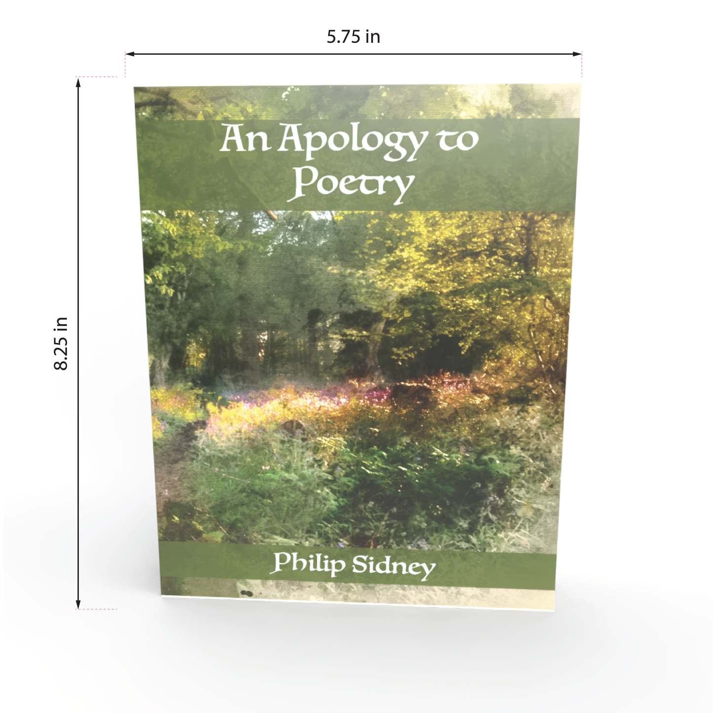 An Apology to Poetry