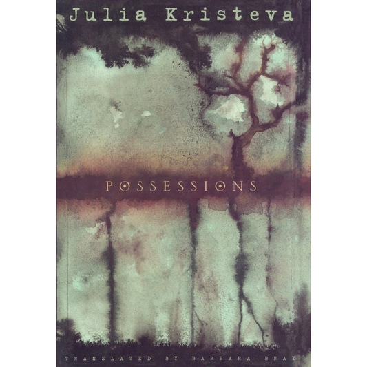 Possessions: A Novel