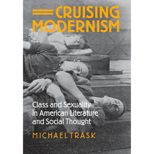 Cruising Modernism: Class and Sexuality in American Literature and Social Thought